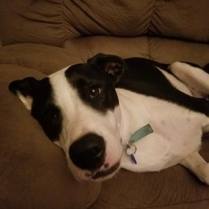 Meet your Posher, Trish